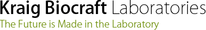 Recombinant Spider Silk Fibers logo