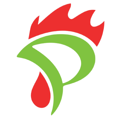 Pullus Africa logo