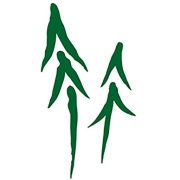 Pine Country Bank logo