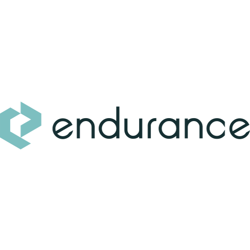 Endurance logo