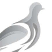 Pheasant Energy logo