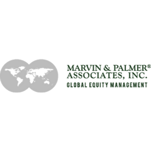 Marvin & Palmer Associates logo