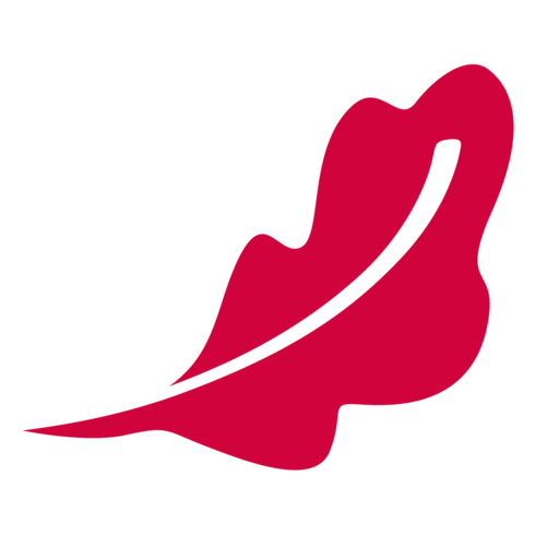 DPE logo