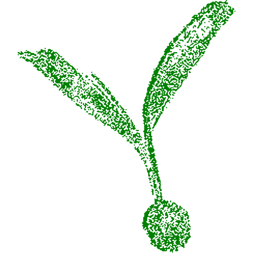 Seed Club Ventures