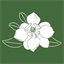 Bank of Magnolia logo