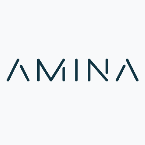 AMINA Bank logo