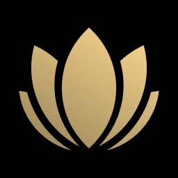 Digital Wisdom logo