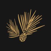 North State Bank logo
