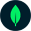 Voyage logo