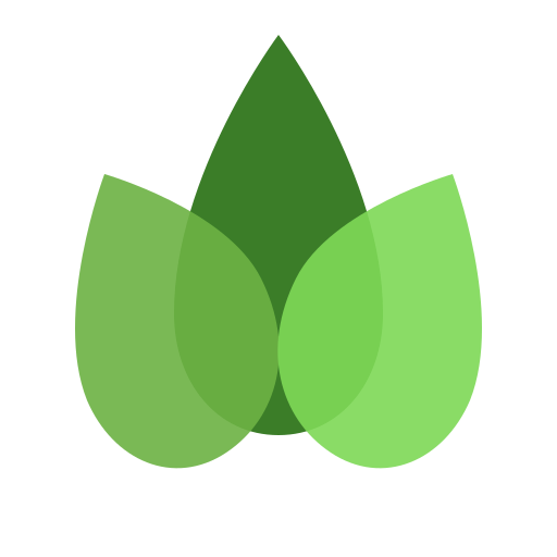 Blomso logo