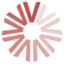 Vivita Technologies logo