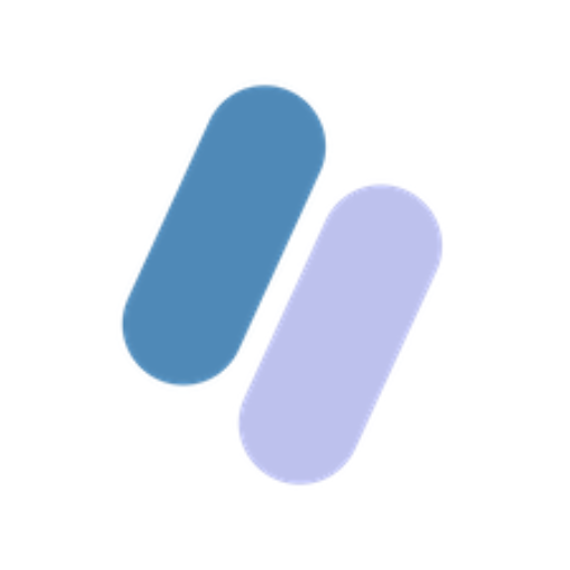 Multilingual Video Meetings logo