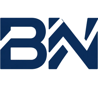 BN Strategic Metals logo