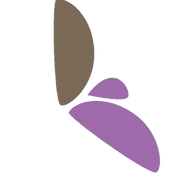 Lavender Hill Capital Partners logo