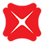 DBS Foundation logo