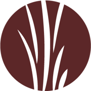 Luana Savings Bank logo