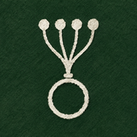 Latent Variables logo