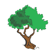 Cedar Valley Bank & Trust logo