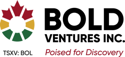 Bold Ventures logo