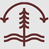 Ancorum Credit Union logo
