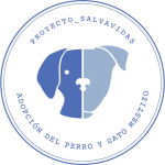 Proyecto Salvavidas
