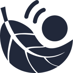 Lilliput Technologies