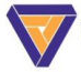 Vibizon Technology logo
