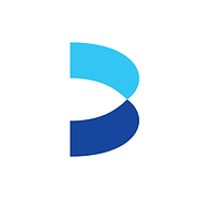 Blue Power Systems logo