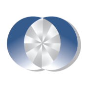 Synergy Insurance Group logo
