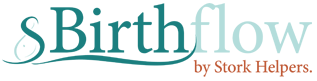 BirthFlow logo