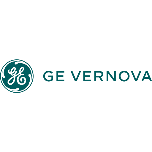 GE Vernova T&D India logo