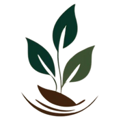 Bija Ventures logo