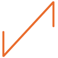Salmon Evolution logo