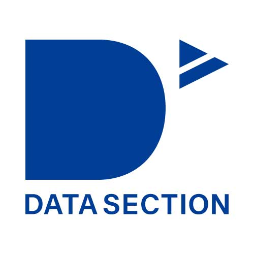 Datasection logo