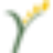 Yellow Wood Partners logo