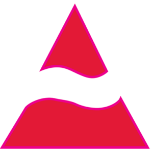 Patriot Capital logo