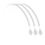 Freepour Beverage Management logo