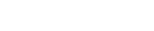 Blue Owl Capital