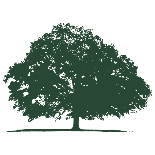 Flora Bank and Trust logo