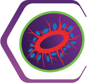 Neurosetta logo