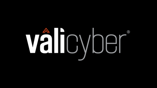 Vali Cyber logo