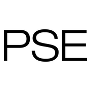 Porsche SE logo