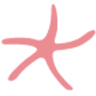 Nic Del Mar logo