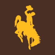 Wyoming Community Bank logo