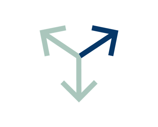 Triaxis Capital