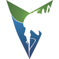 Springstar logo