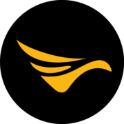 Aerial Intelligence Services logo