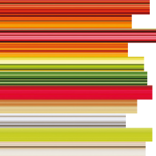 Otamot Foods logo