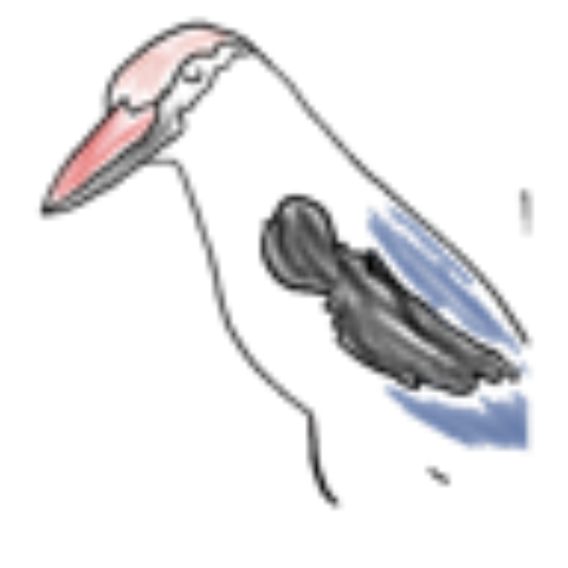 Osmaura logo