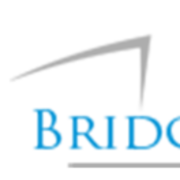 Bridge Venture Partners logo